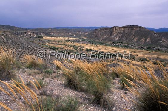 espagne andalousie 12.JPG - Désert de TabernasAlmeriaAndalousieEspagne